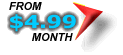 Domain Name - Web Site Hosting